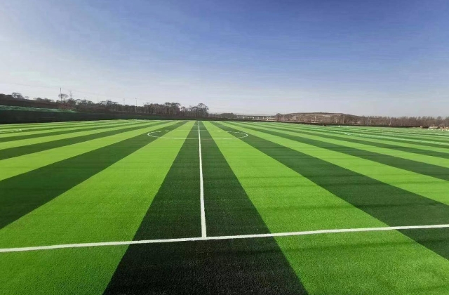 足球场人造草坪的分类