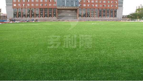 多利隆|足球场人工草坪可以分为哪几大类呢？