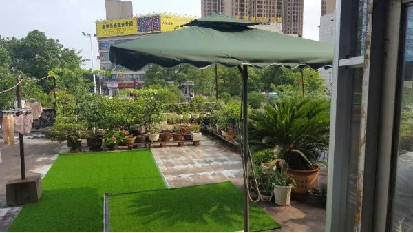 多利隆|更环保的屋顶绿化——人造草坪