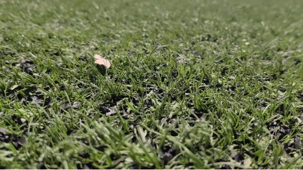 为什么人造草坪足球场会出现泛黑的现象？