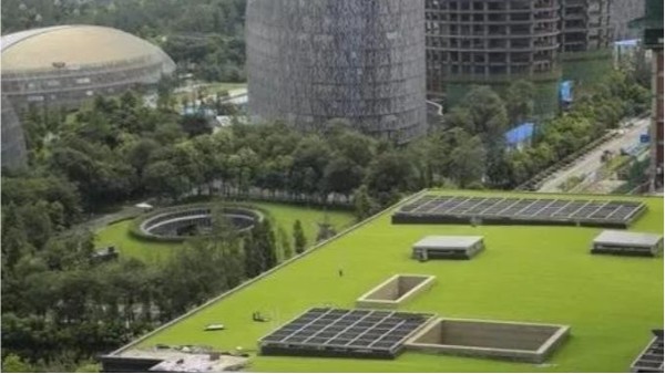 建筑设计中的屋顶绿化——人造草坪
