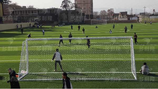 多利隆|足球场地人造草坪之草坪类型介绍