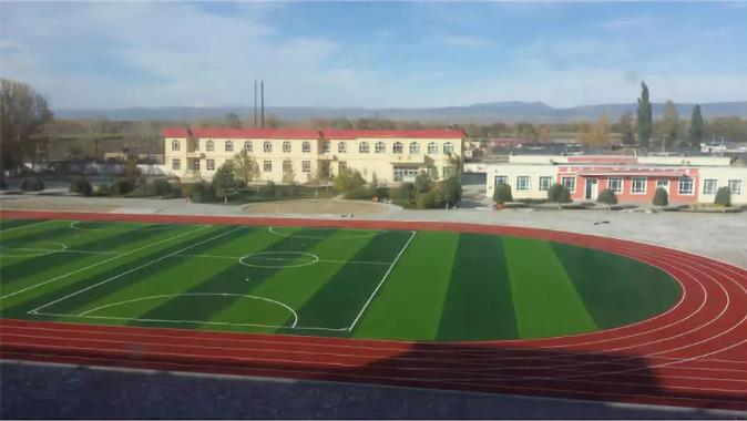 人造草坪在学校运动场地中的使用